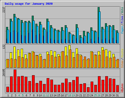 Daily usage for January 2020