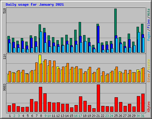 Daily usage for January 2021