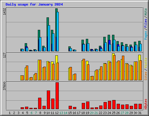 Daily usage for January 2024