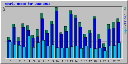 Hourly usage for June 2016