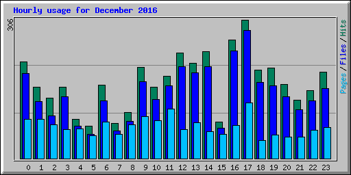 Hourly usage for December 2016