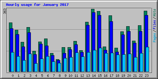 Hourly usage for January 2017