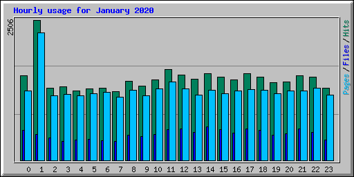 Hourly usage for January 2020