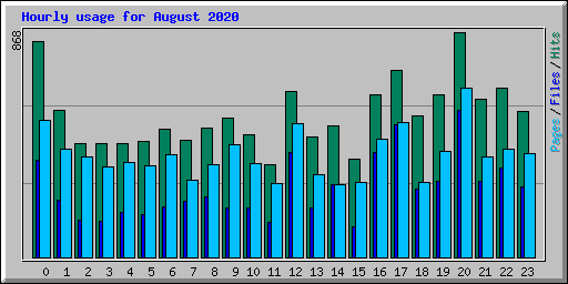 Hourly usage for August 2020