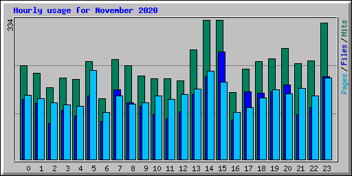 Hourly usage for November 2020