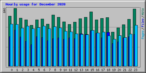 Hourly usage for December 2020