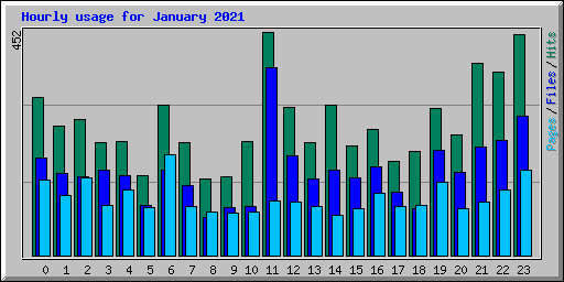 Hourly usage for January 2021