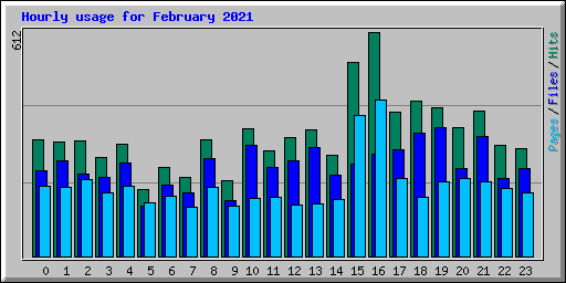 Hourly usage for February 2021