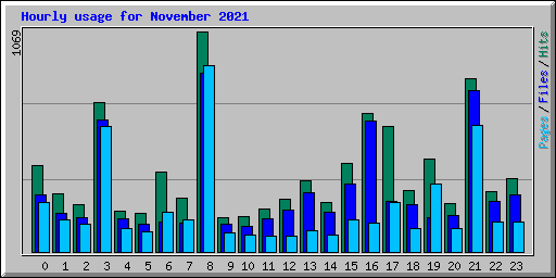 Hourly usage for November 2021