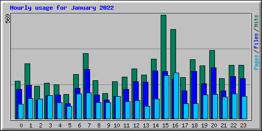 Hourly usage for January 2022