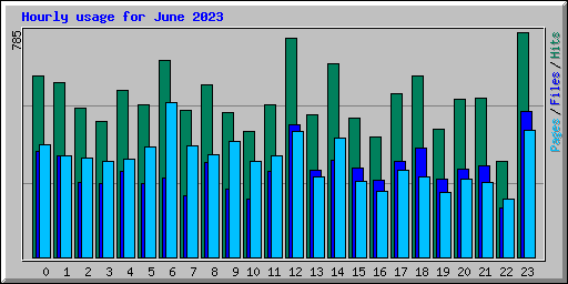 Hourly usage for June 2023