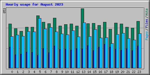 Hourly usage for August 2023