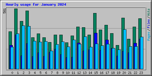 Hourly usage for January 2024