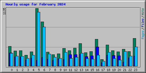 Hourly usage for February 2024