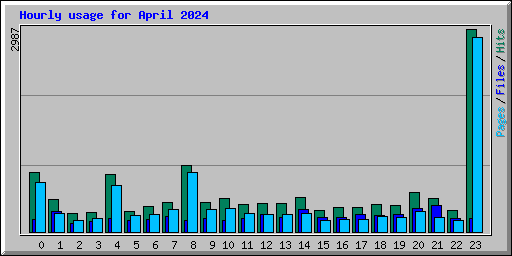 Hourly usage for April 2024