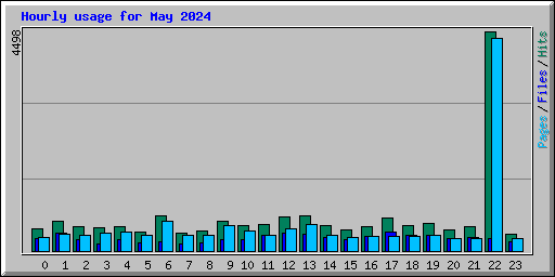 Hourly usage for May 2024