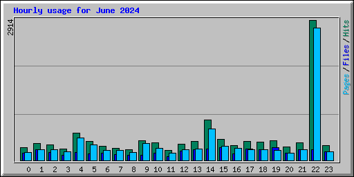 Hourly usage for June 2024