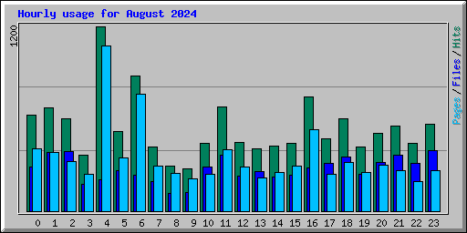 Hourly usage for August 2024