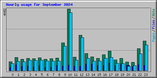 Hourly usage for September 2024