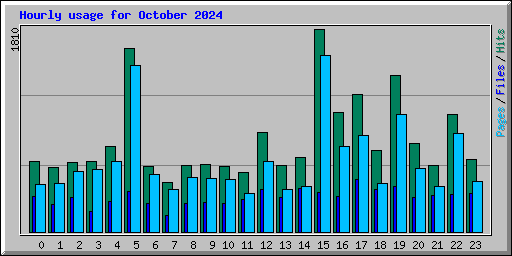 Hourly usage for October 2024